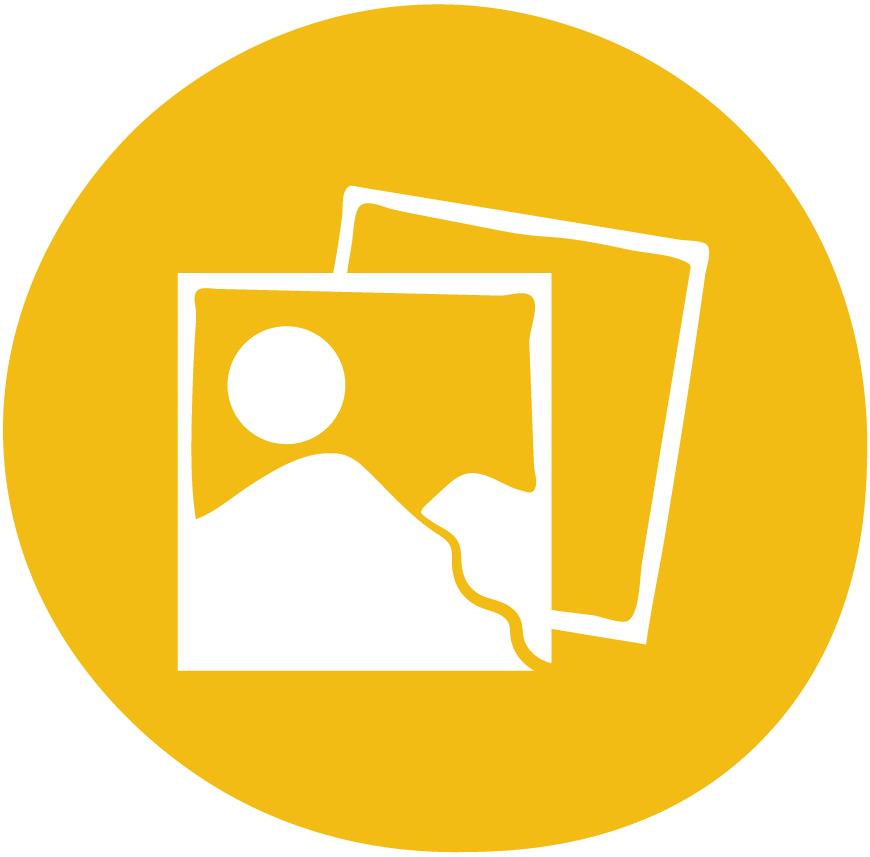 button back to gallery