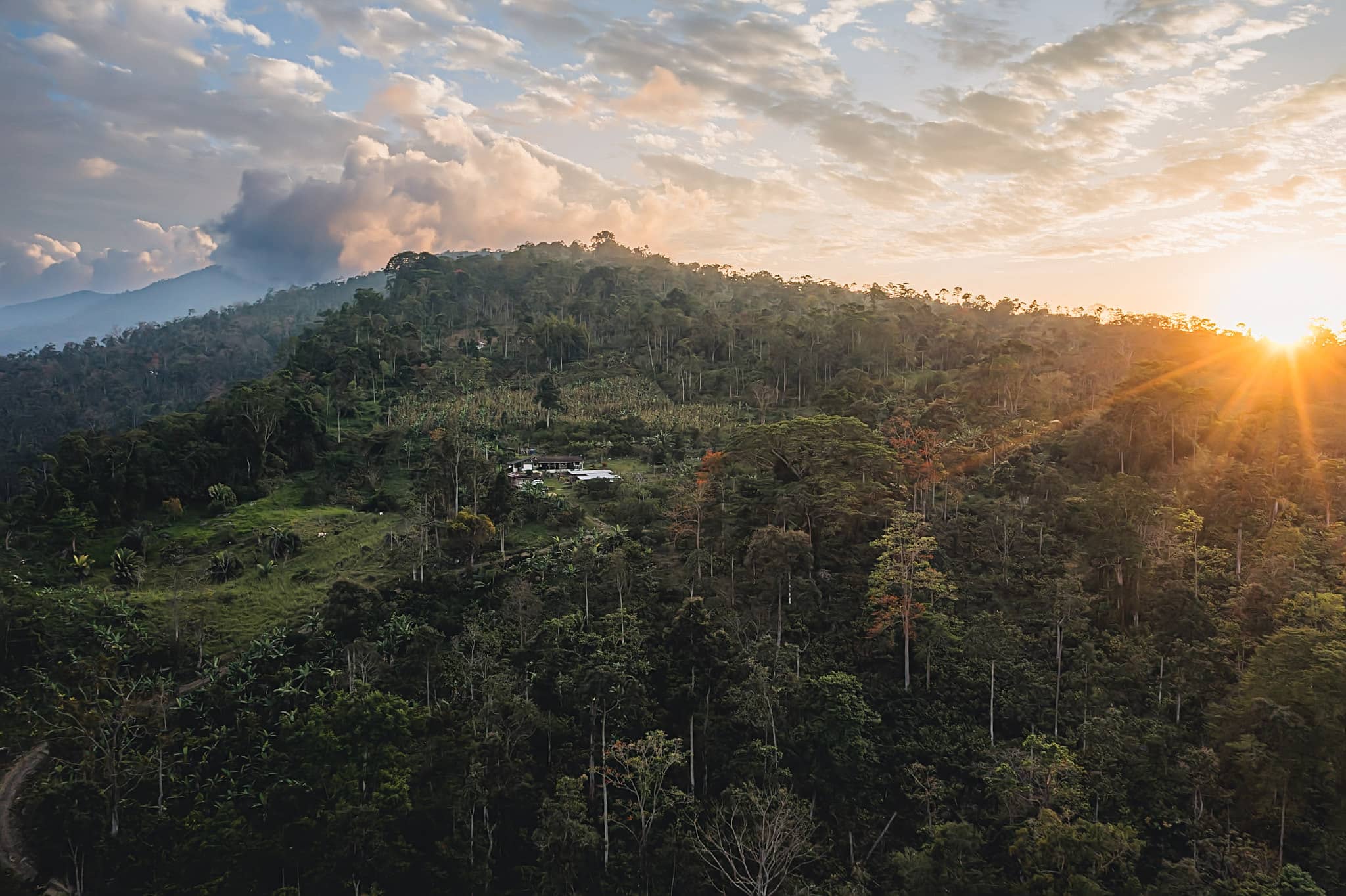 sunset over cocoa agroforestry plantations in the santander region of colombia