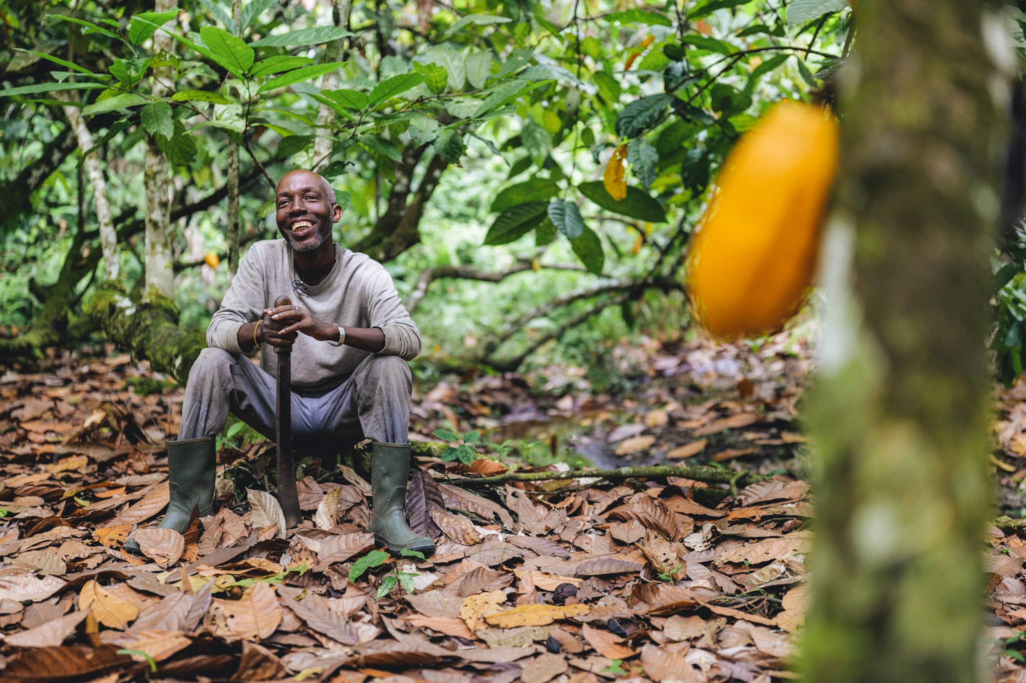 ivorian cocoa producter sitting in his plantation