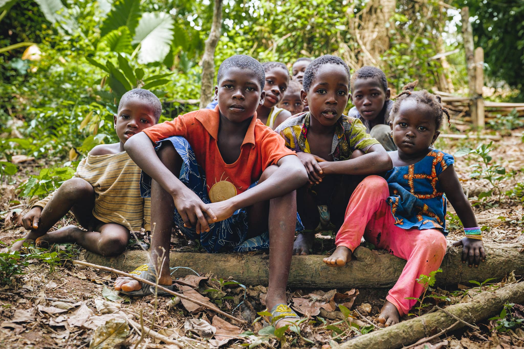 group of children in a cocoa plantation in cote d’ivoire