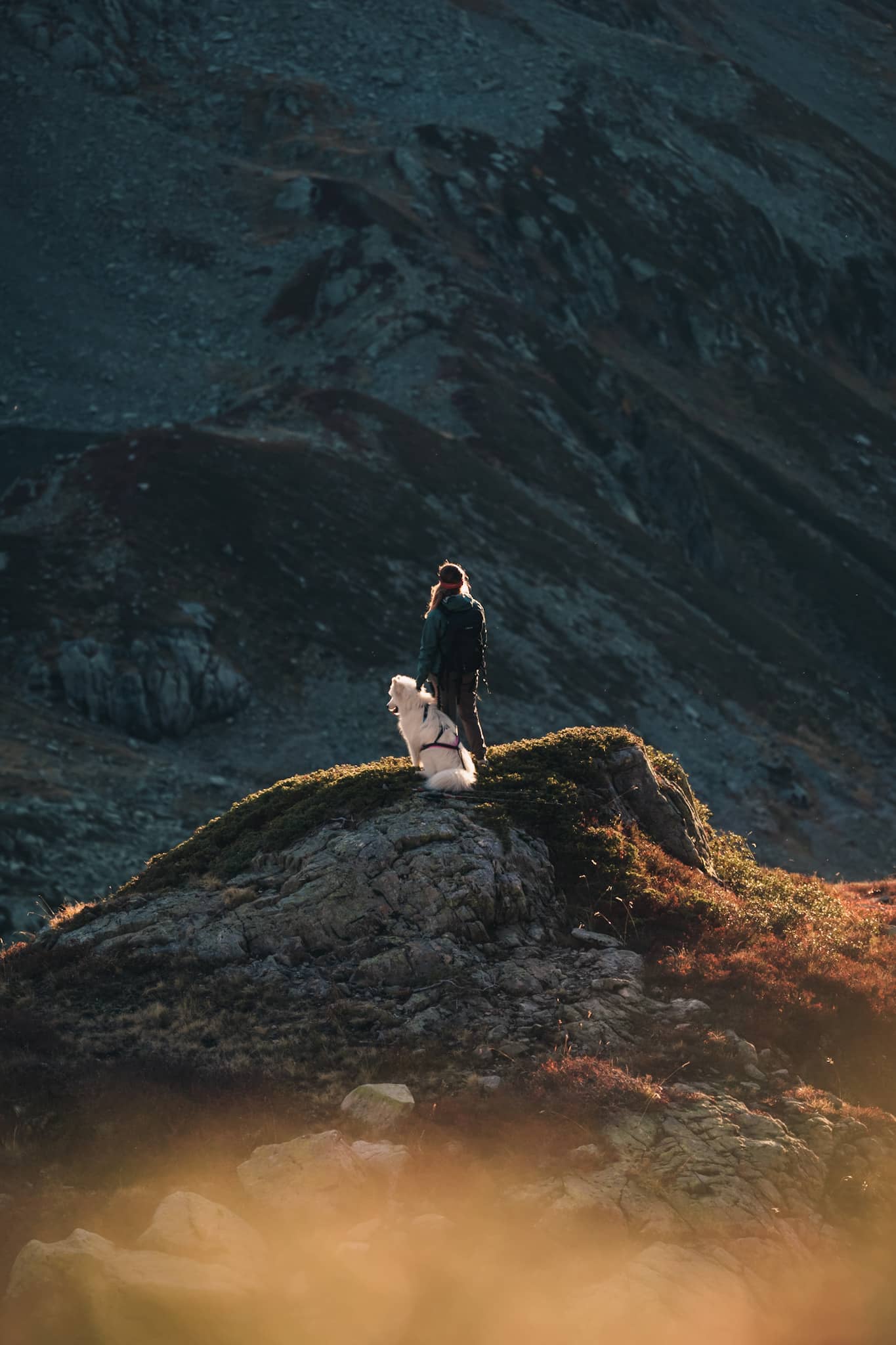 hiker and her dog in the beaufortain in the fall