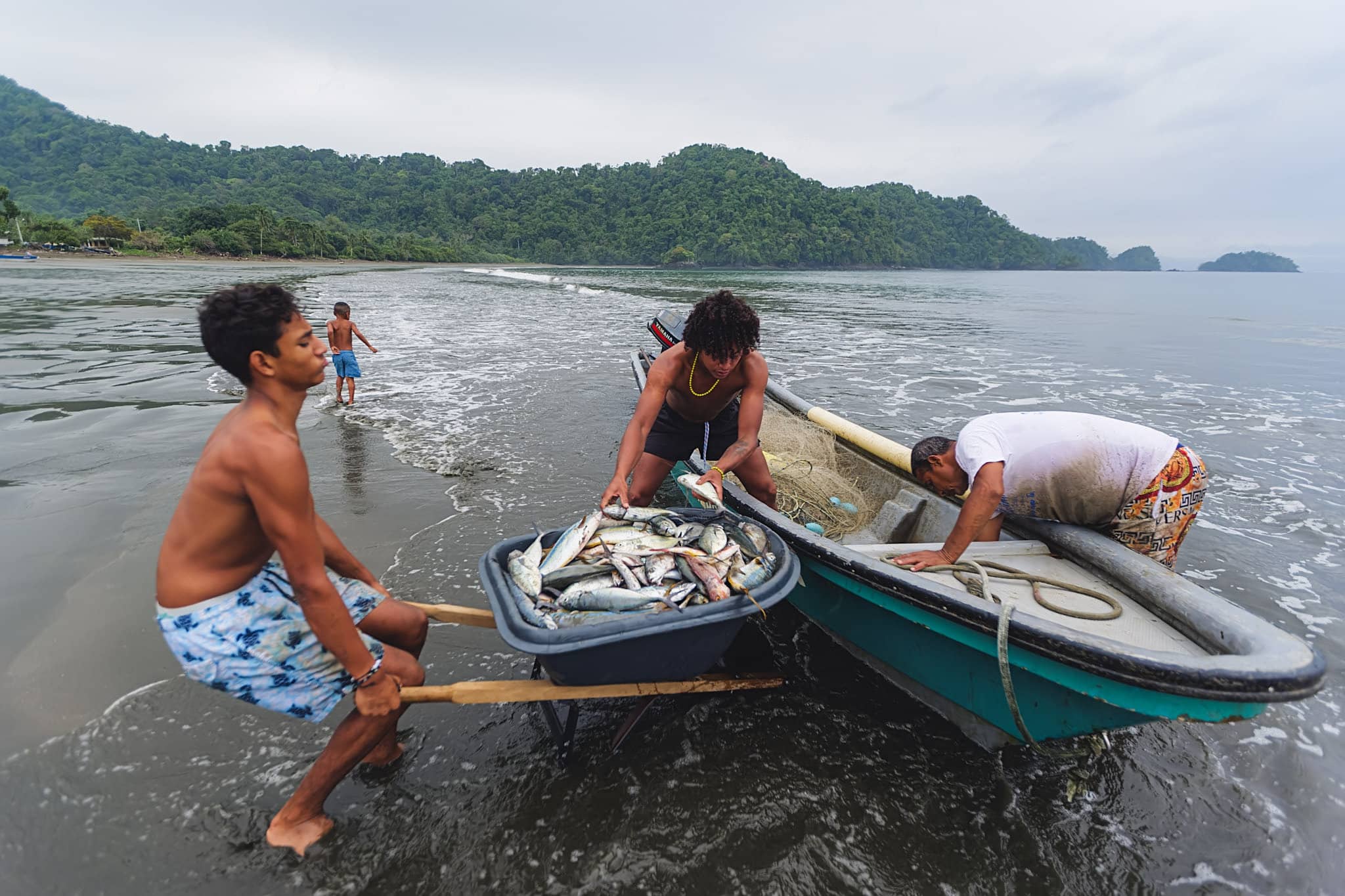 colombian fishermen transporting fish back home after a fruitful night at sea